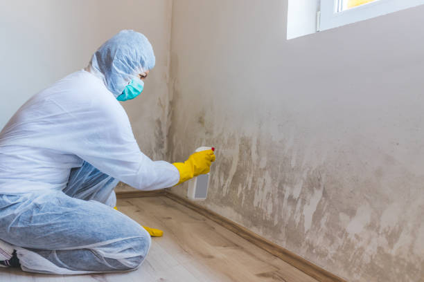 Hvac And Air Duct Mold Remediation inspection of HVAC system in Little Orleans